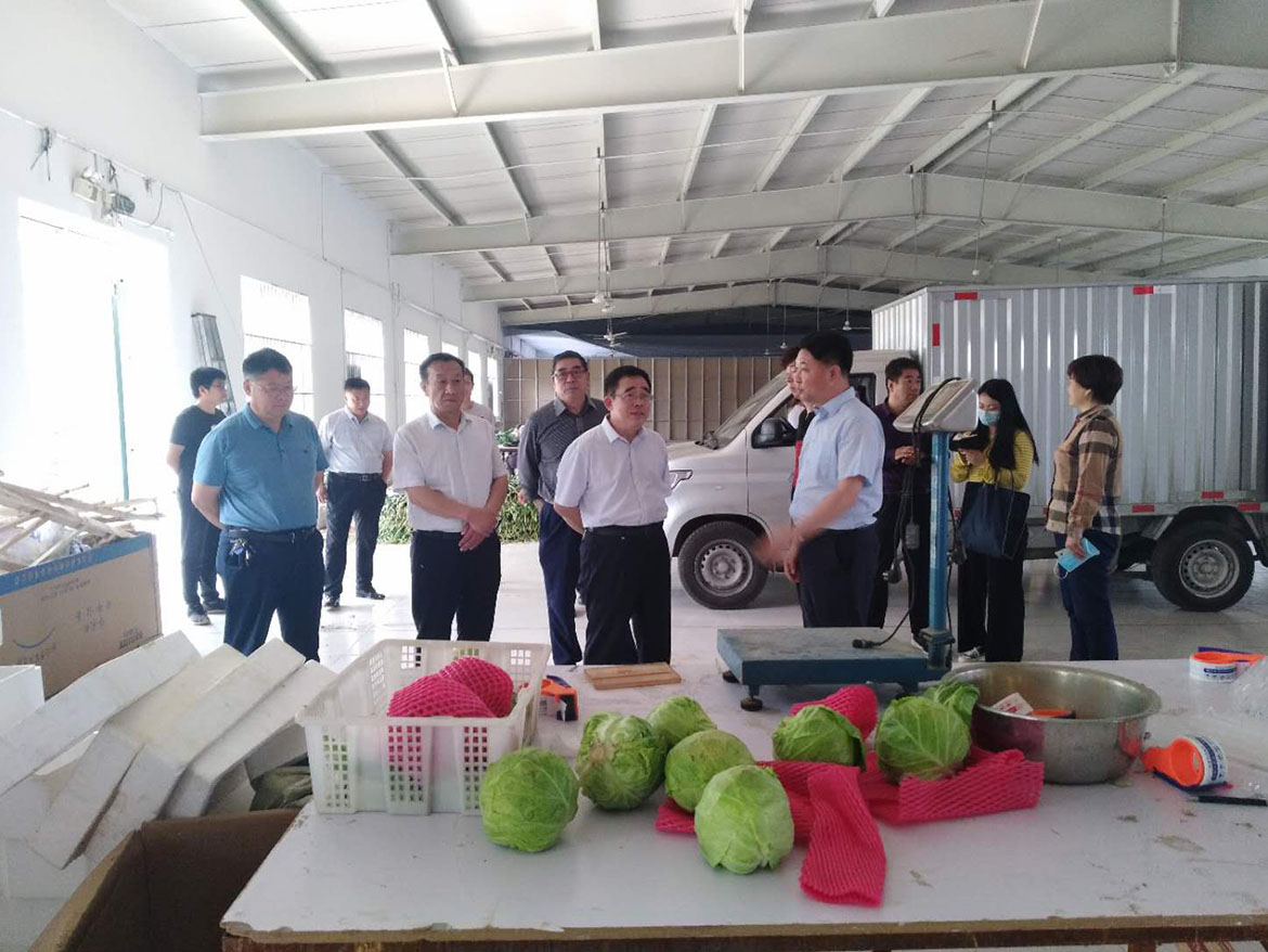 市委常委、统战部长张向；市农业农村局党组书记李玉振检查指导云大集车间工作