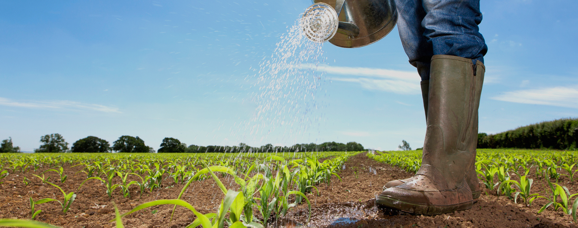 云大集生态农业发展（河北）有限公司-云大集生态农业发展（河北）有限公司【官网】
